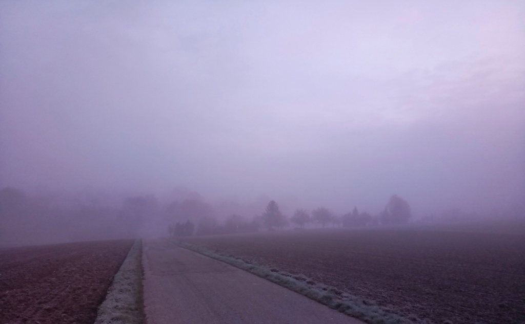 DSC_0271.jpg
