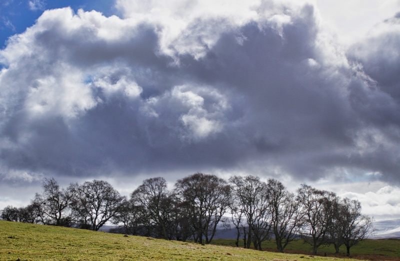 2019-03-15 11-35-54