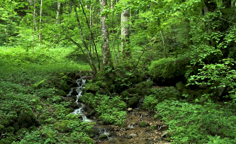 2013-06-05 um 16-47-35