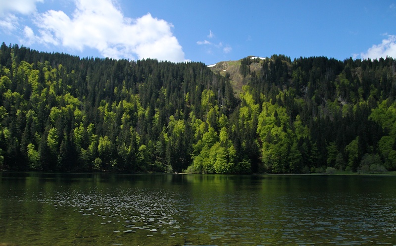 2013-06-06 um 11-28-09