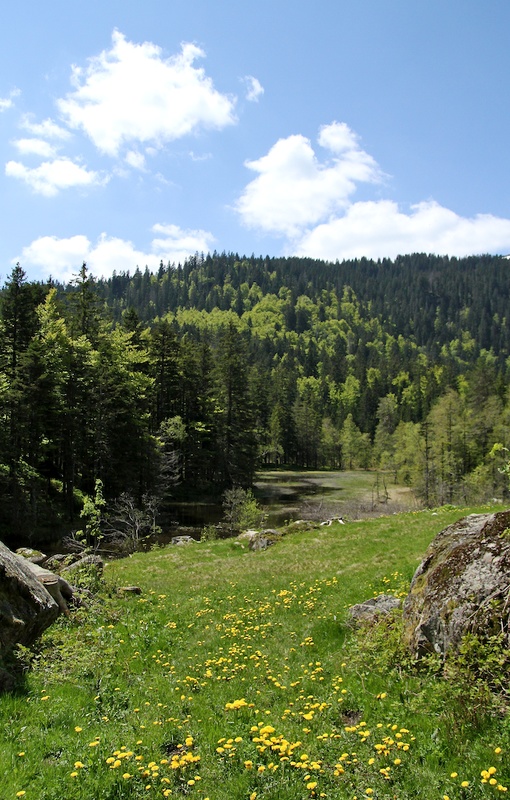 2013-06-06 um 12-34-33