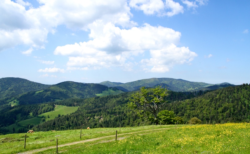 2013-06-07 um 11-29-01
