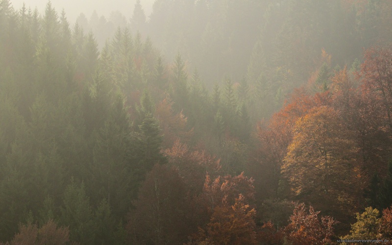 2016-10-30 um 11-20-30