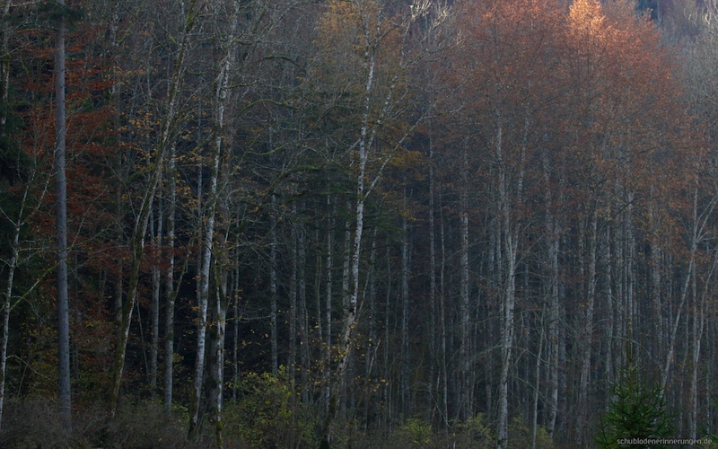 2016-10-30 um 12-20-16