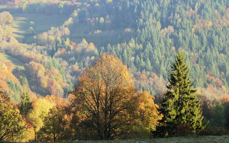 2016-10-31 um 16-54-28