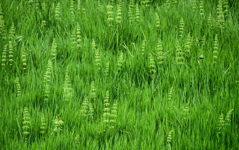 2019-06-06 10-21-33