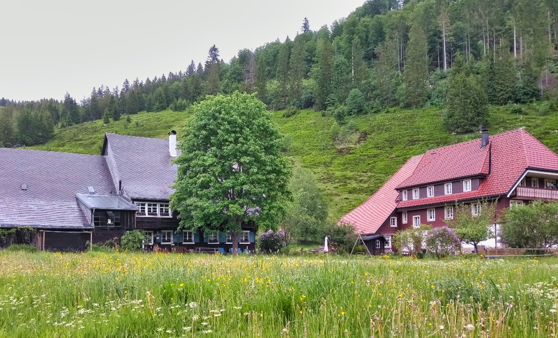 2019-06-06 14-26-54