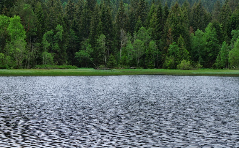 2019-06-06 15-24-42