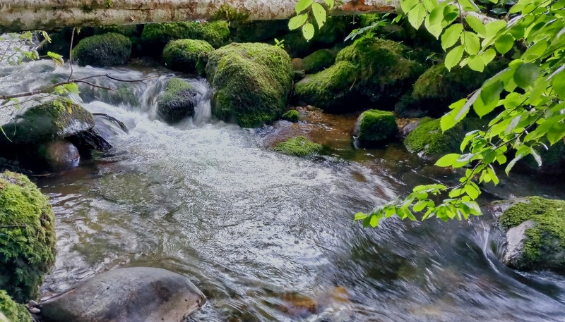 2019-06-06 20-18-33