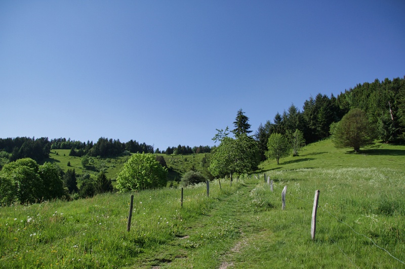 2019-06-07 08-52-50