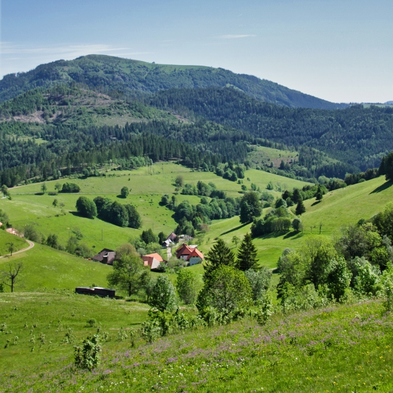 2019-06-07 09-42-39