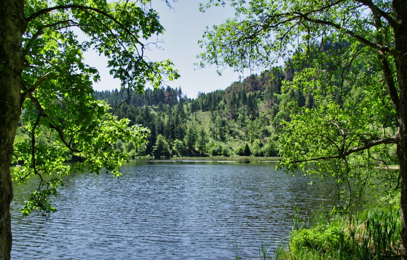 2019-06-07 10-37-52