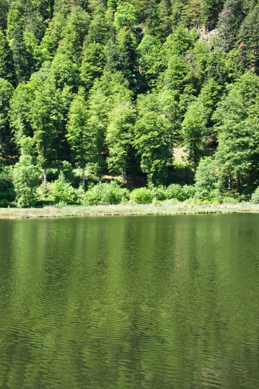 2019-06-07 10-41-06