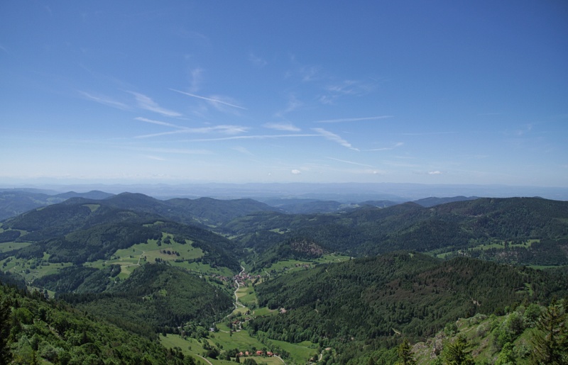 2019-06-08 10-39-48