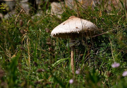 2012-09-28  124338