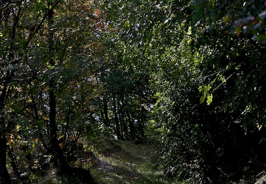 2012-09-28  124604