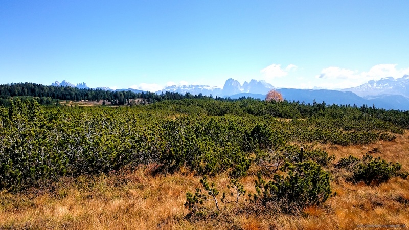 2015-09-28 um 13-21-49