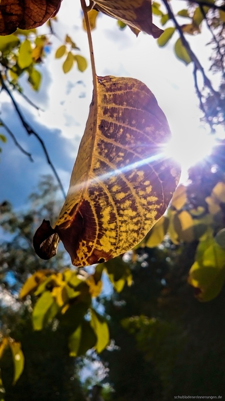 2015-10-04 um 12-35-58