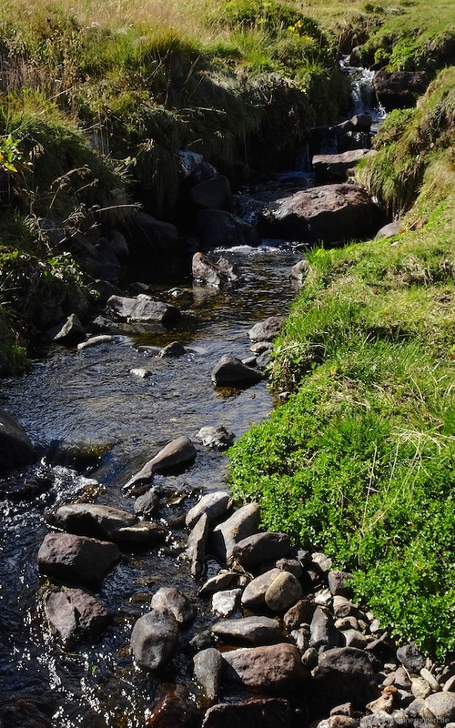 2016-09-26 um 14-11-47