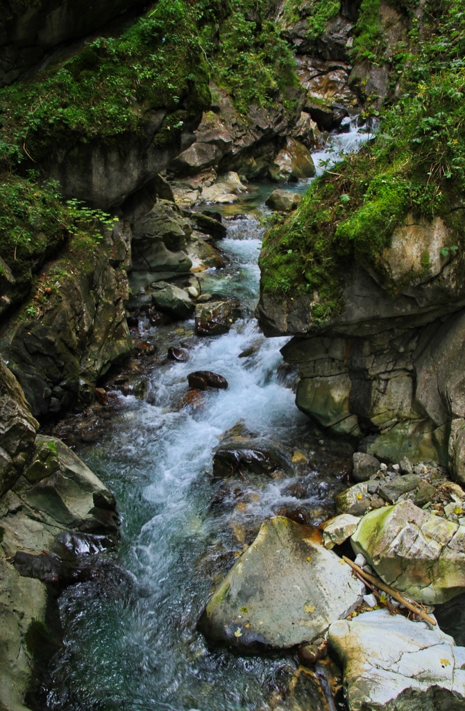 IMG_4158.jpg