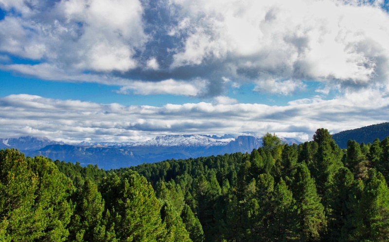 2019-10-07 14-11-31