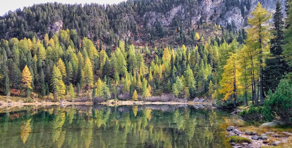 2019-10-08 14-43-34 - 2019-10-08_14-43-34.jpg 2019-10-08_14-43-34.jpg