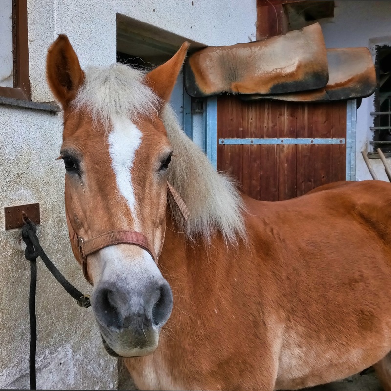 2019-10-09 09-59-37