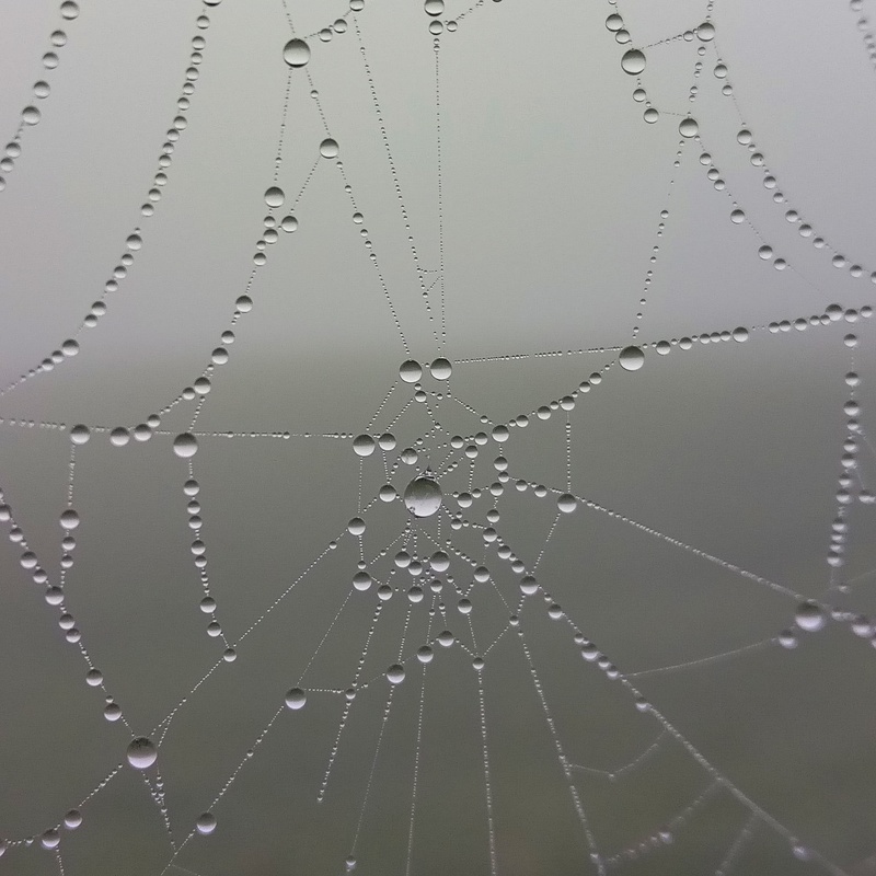 2019-10-09 15-38-36