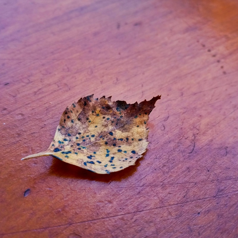 2019-10-13 12-58-53