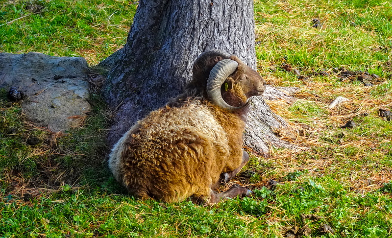 2025-09-28  11-13-20