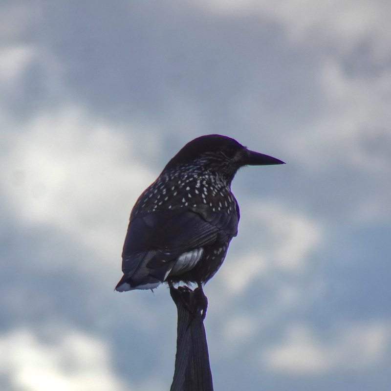 2025-09-28  12-56-40