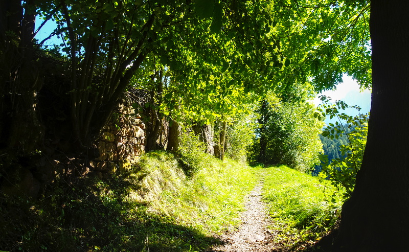 2025-09-29  12-01-01