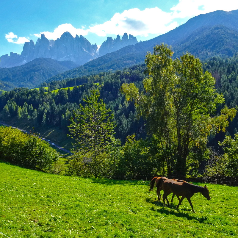 2025-09-29  12-14-35