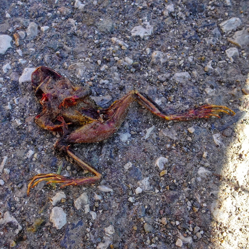 2025-09-29  12-27-47