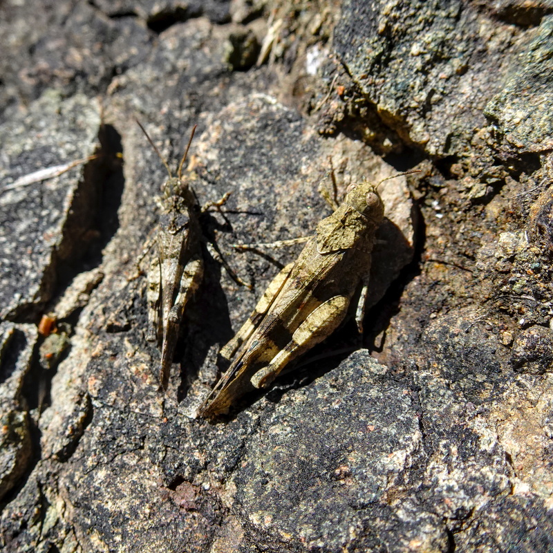 2025-09-29  13-06-10