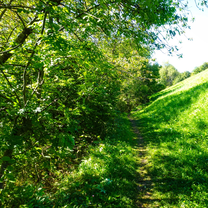 2025-09-29  13-26-36