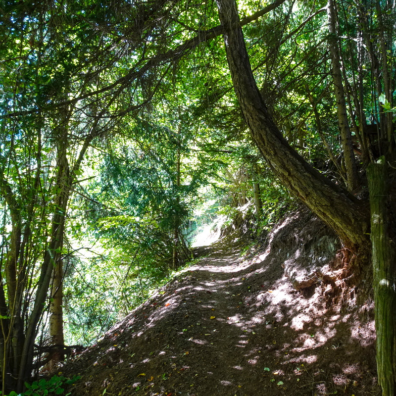 2025-09-29  13-35-41