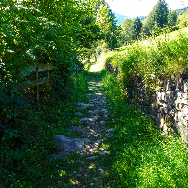 2025-09-29  14-17-13