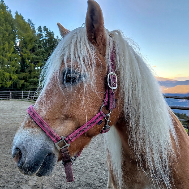 2025-09-29  18-30-53