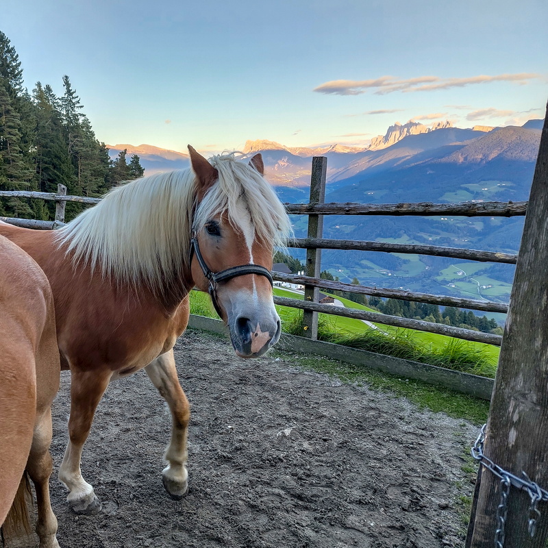 2025-09-29  18-32-30