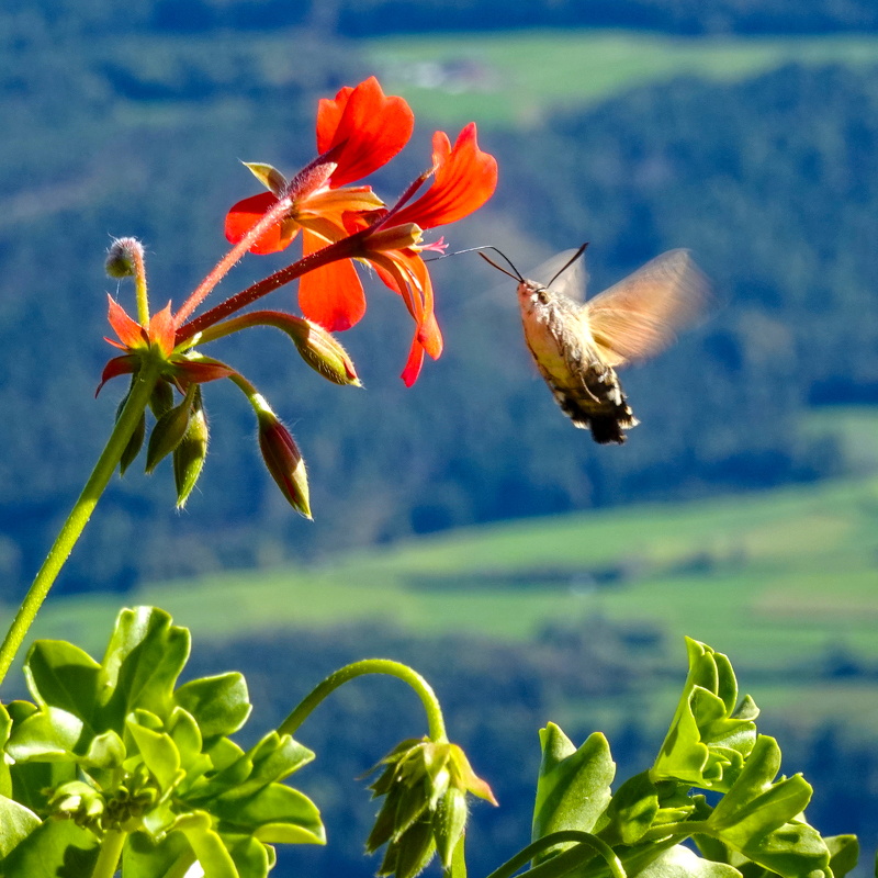 2025-10-01  14-08-26