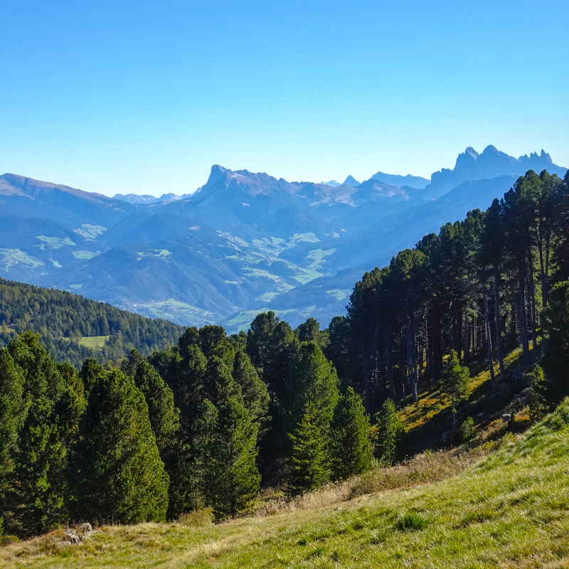 2025-10-02  11-11-59