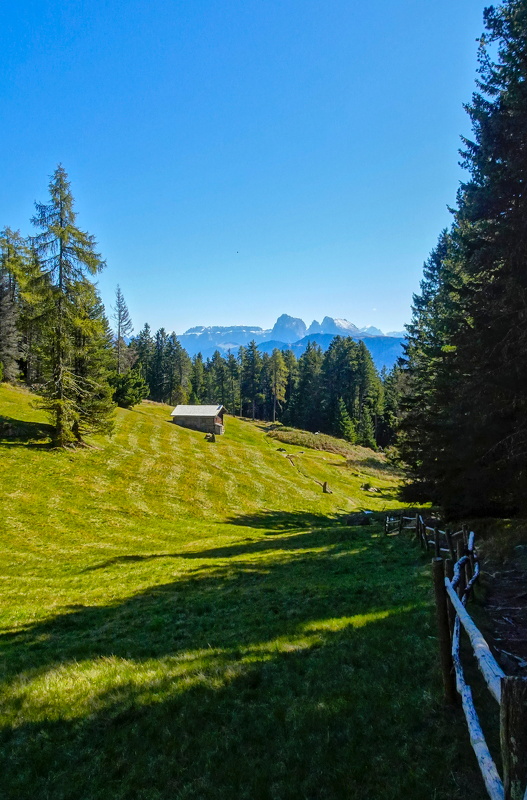 2025-10-02  12-07-56