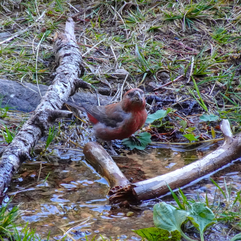 2025-10-02  12-11-07