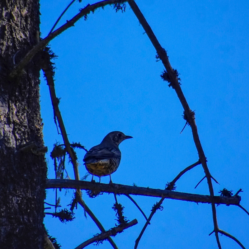 2025-10-02  12-13-28