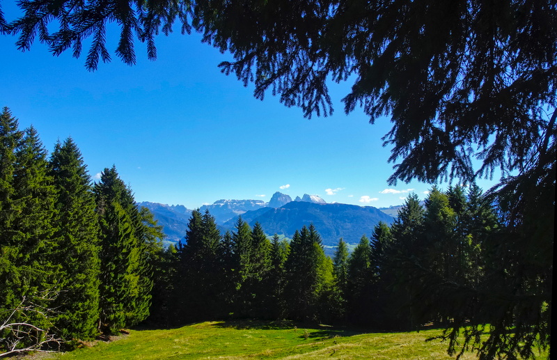 2025-10-02  12-44-25