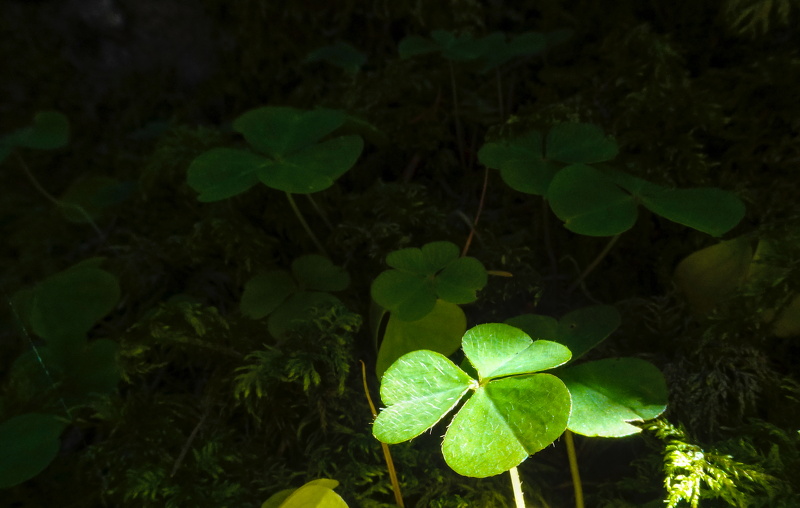 2025-10-02  13-09-30