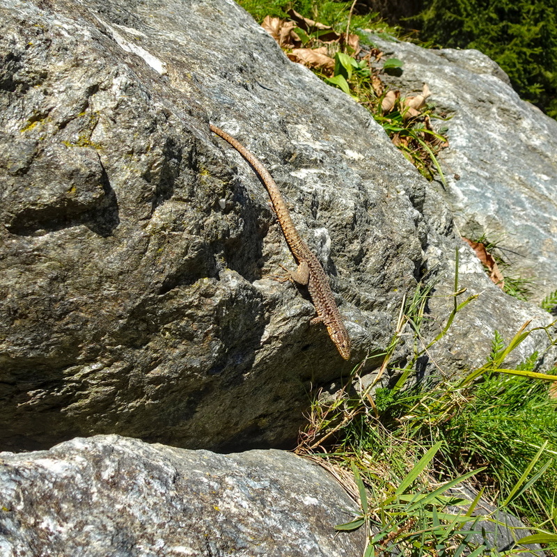 2025-10-02  15-06-50