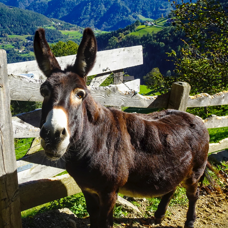 2025-10-02  15-22-57