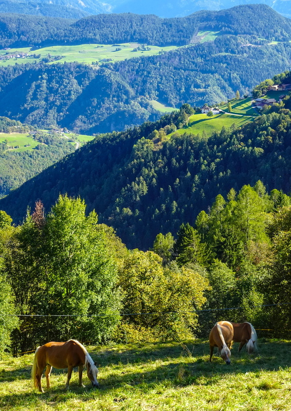 2025-10-02  15-35-11